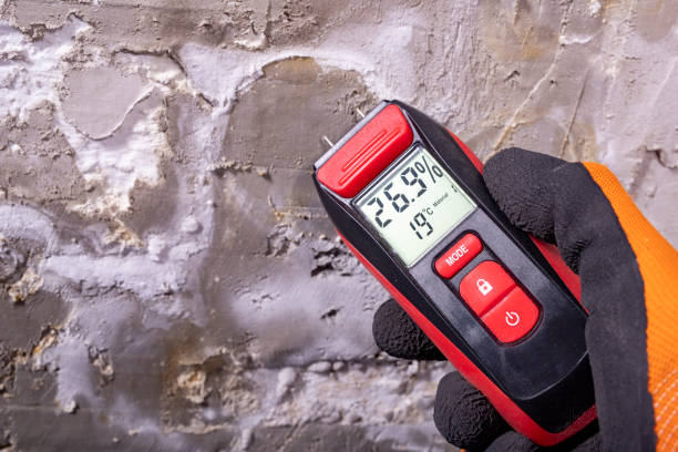 Best Kitchen Mold Remediation in Fairview, TX