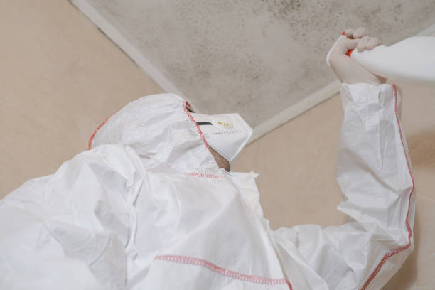 Best Mold Remediation for Specific Building Types in Fairview, TX